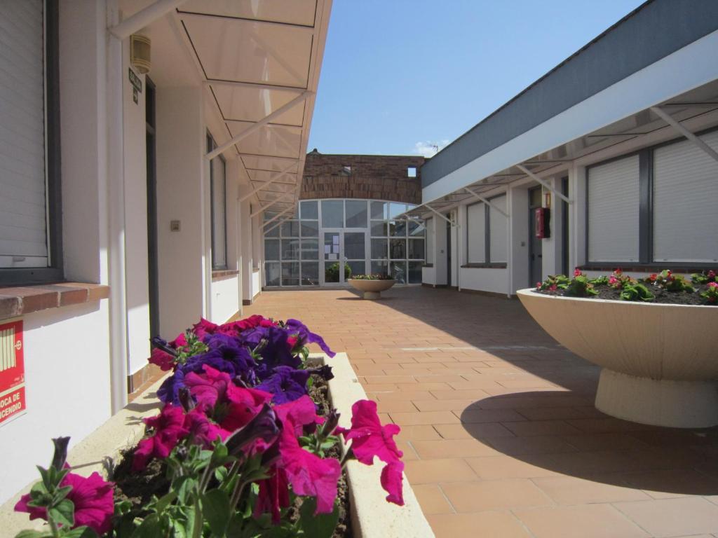 לרדו Apartamentos Elena מראה חיצוני תמונה